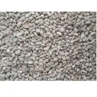 Cream Gravel